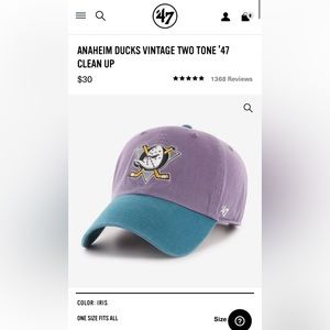 ‘47 Brand Vintage Mighty Ducks Hat - Brand New with tags